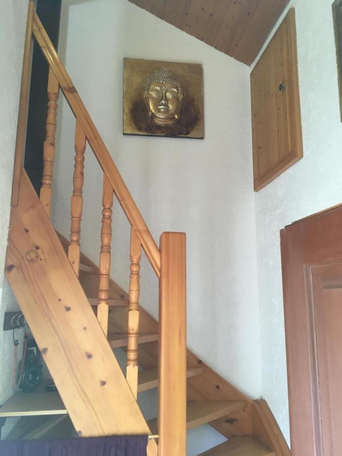 Burgruine Schoellnstein Iggensbach Kültér fotó